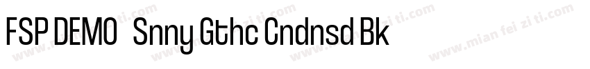 FSP DEMO   Snny Gthc Cndnsd Bk Regu字体转换